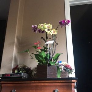 Meet your Posher, Noe